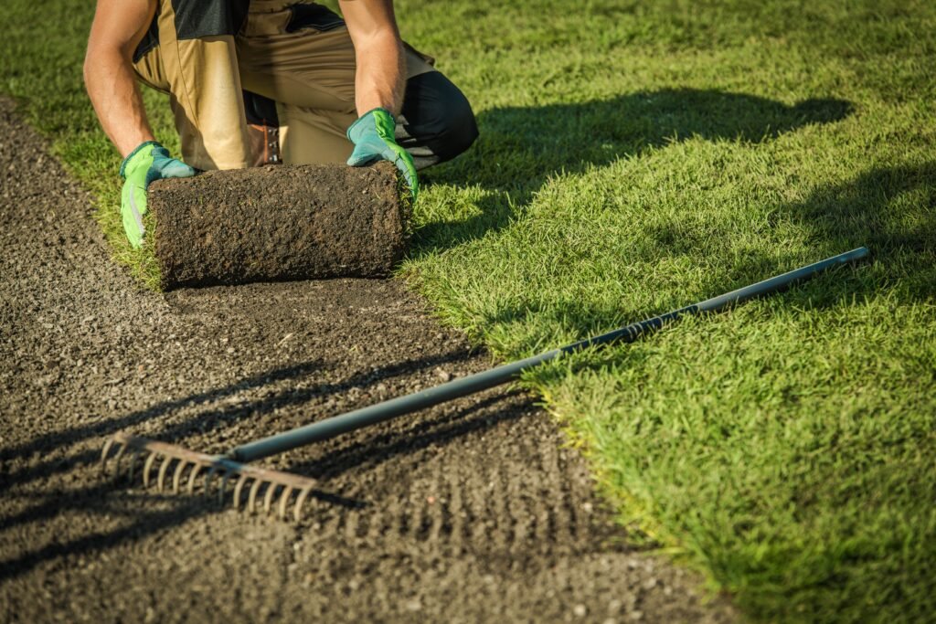 Gardener Lay The Turf